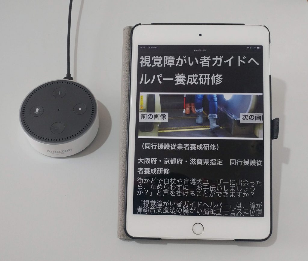 iPad とスマートスピーカーの写真(視覚に障害がある人のICT活用事例】